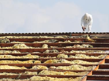 Asbestos removal industry